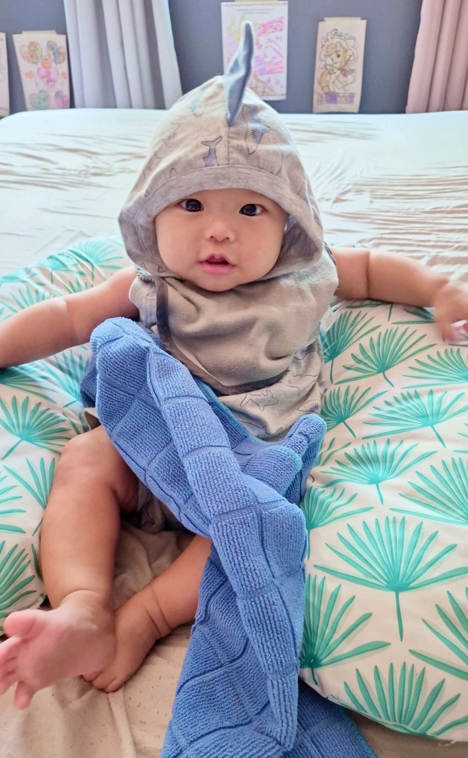 Baby Koa awake in his gray hood during his first weeks